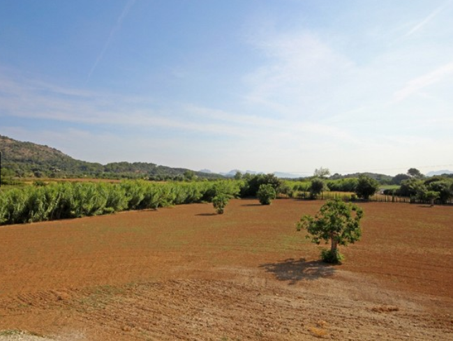 Rustic villa for sale in Pollensa