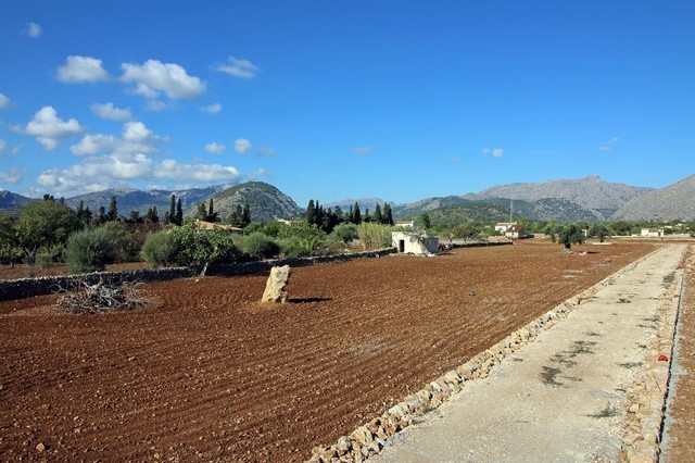 Land for sale in Pollensa, Mallorca