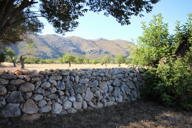 Mallorca property investment