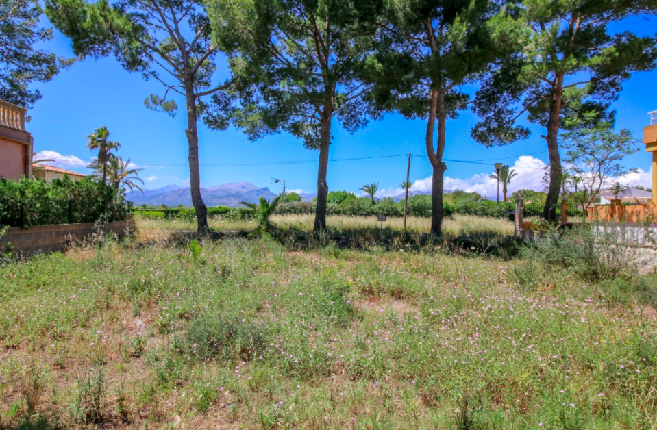 Land for sale in Mallorca